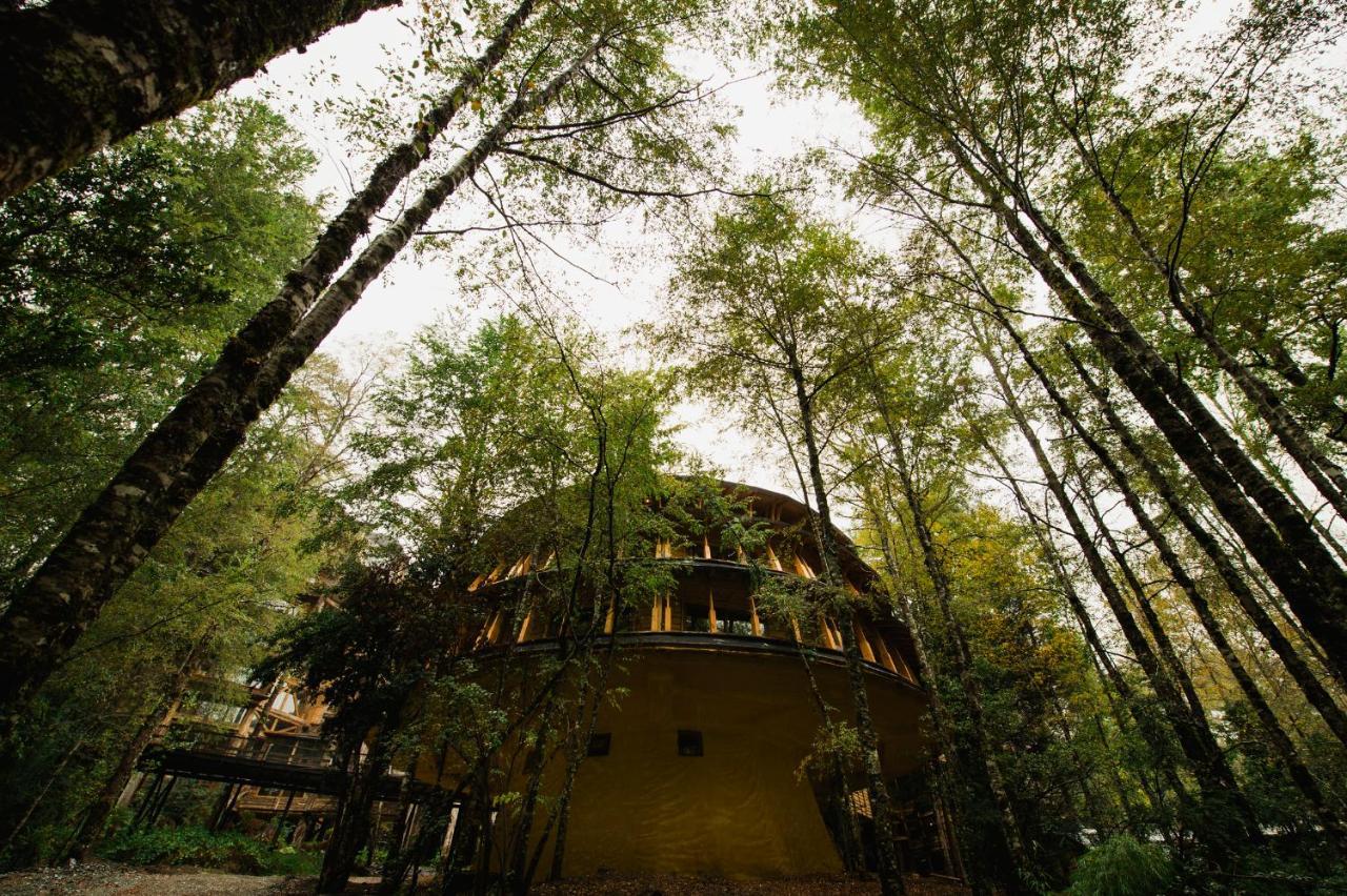 Villa Huilo Huilo Reino Fungi Puerto Fuy Exterior foto