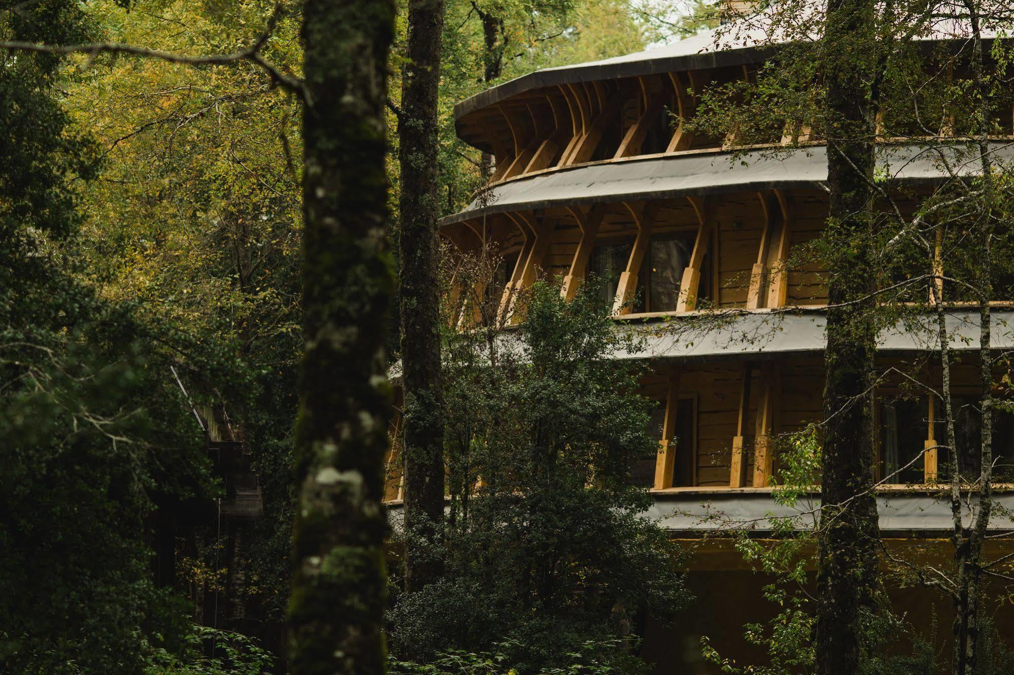 Villa Huilo Huilo Reino Fungi Puerto Fuy Exterior foto